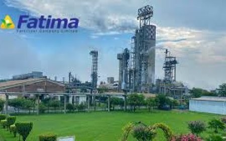 Fatima Fertilizer to Acquire 100% Stake in Petroleum Firm