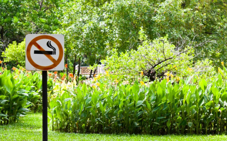 Punjab Declares All Parks No-Smoking Zones Provincewide