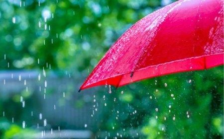 Heavy Rains Likely in August, Says Weather Department