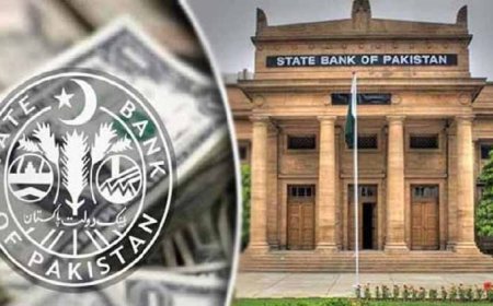 State Bank of Pakistan Holds Policy Rate at 11%