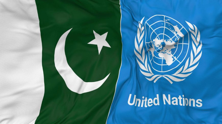 Pakistan Takes Over UN  Security Council Presidency