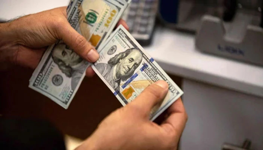 Profit Repatriation Down by Over 72% in June 2025
