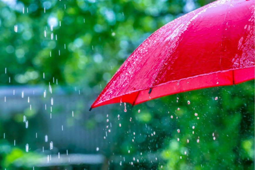 Heavy Rains Likely in August, Says Weather Department