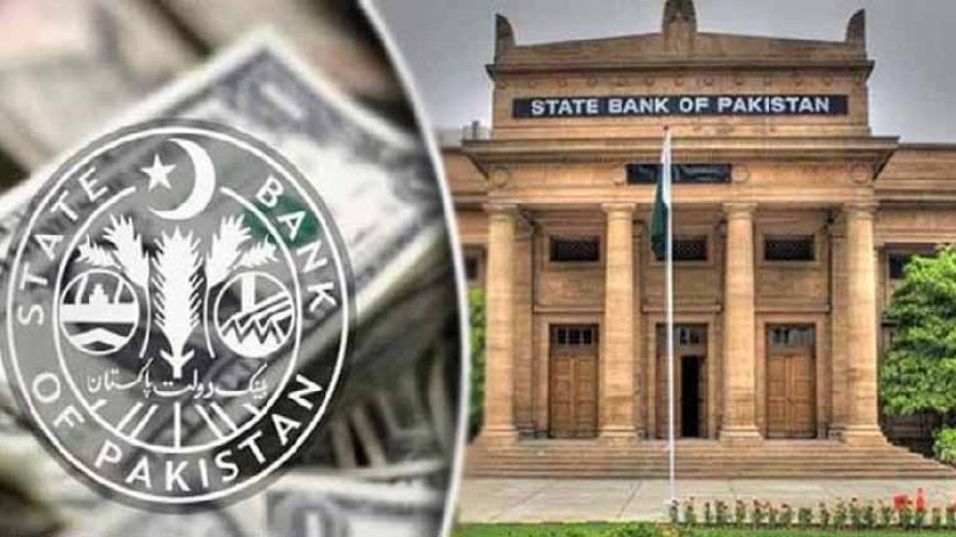 State Bank of Pakistan Holds Policy Rate at 11%