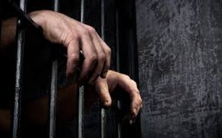 Over 21,000 Pakistanis Imprisoned in 61 Countries, Govt Says
