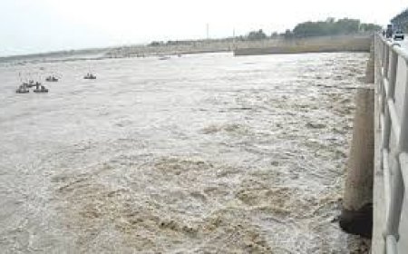 Indus River in Medium Flood at Major Barrages, Water Levels Surge