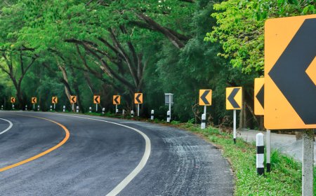 Why Road Safety Should Be Everyone's Responsibility