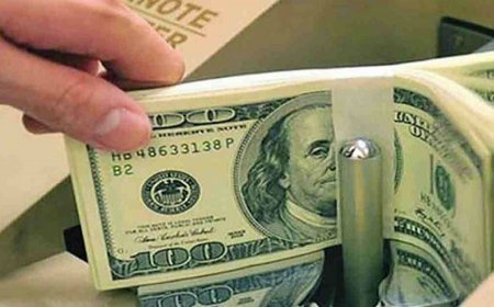 Foreign Loans to Pakistan Reach $695m in July, Rise 59% YoY