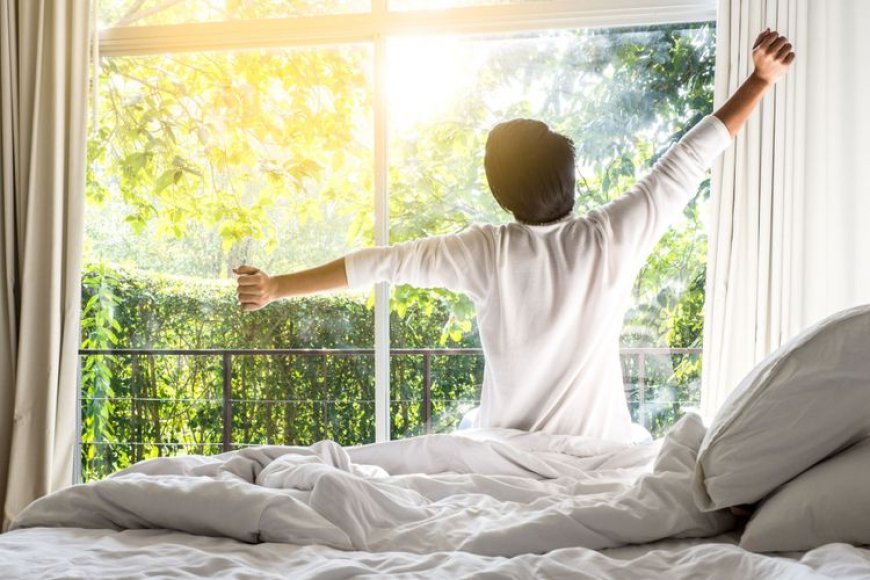 Morning Habits for a Healthy and Productive Day