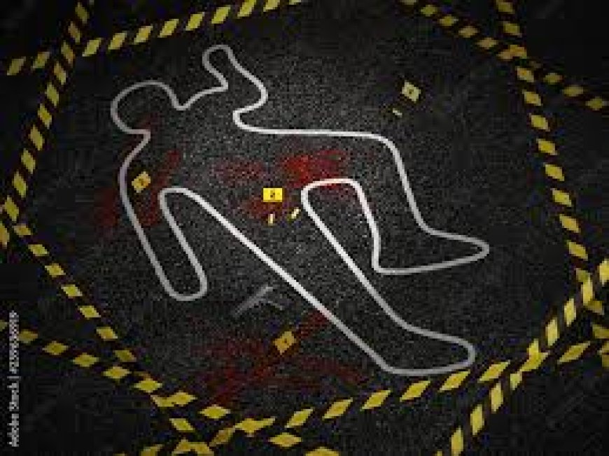 Lahore Shocking Incident: Two Brothers Murdered Over Rs. 30 Dispute