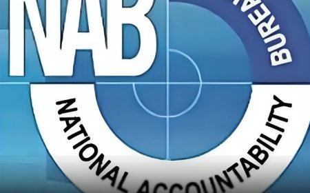 Govt to Protect Industrialists From NAB, FIA and FBR