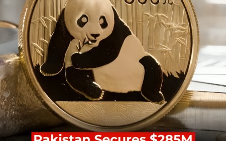 PAK Secures $285M Guarantee for Panda Bond, Big Win for Economy