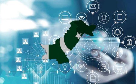 Pakistan IT Exports Surge to $691 Million in Jul-Aug 2025