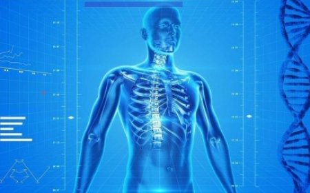 Delphi-2M AI Predicts Risk of Over 1,000 Diseases Years in Advance