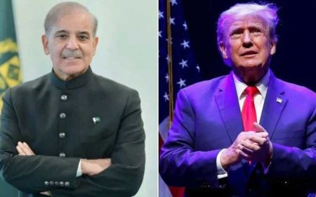 PM Shehbaz Sharif’s UNGA Address: Global Peace and Action