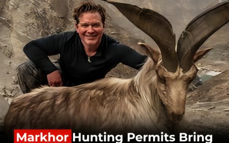 Markhor Hunting Permits Bring $1.9M Revenue to KP  At What Cost?