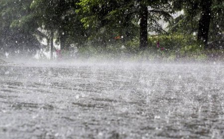 Heavy Rain, Thunderstorms Alert Across Sindh Until Oct 2