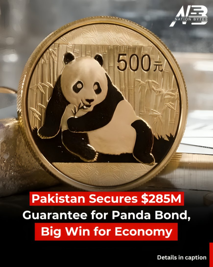 PAK Secures $285M Guarantee for Panda Bond, Big Win for Economy