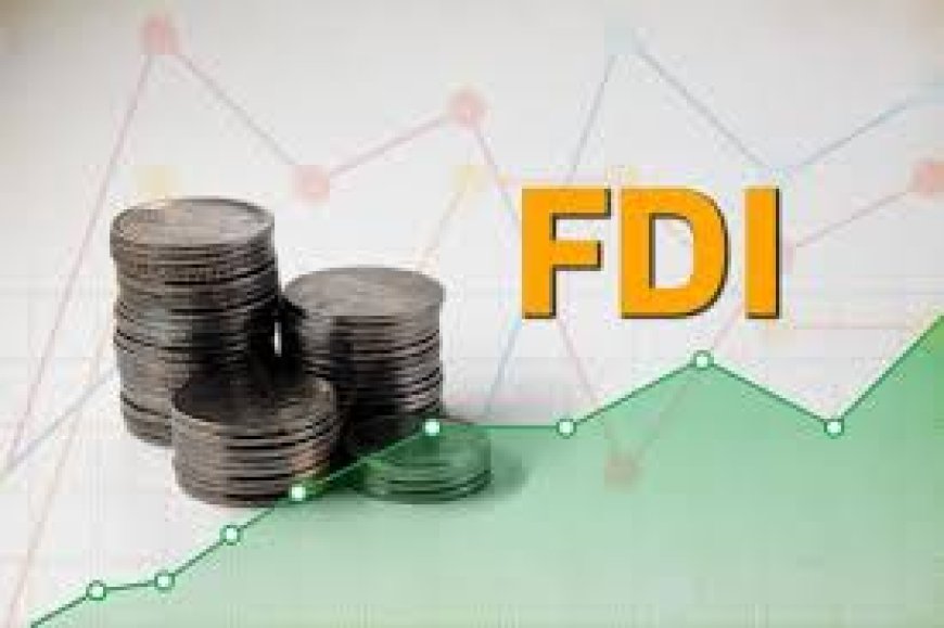 Pakistan’s Foreign Investment Drops 22% in First Two Months