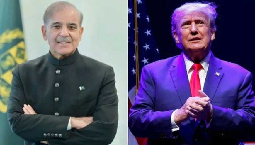 PM Shehbaz Sharif’s UNGA Address: Global Peace and Action