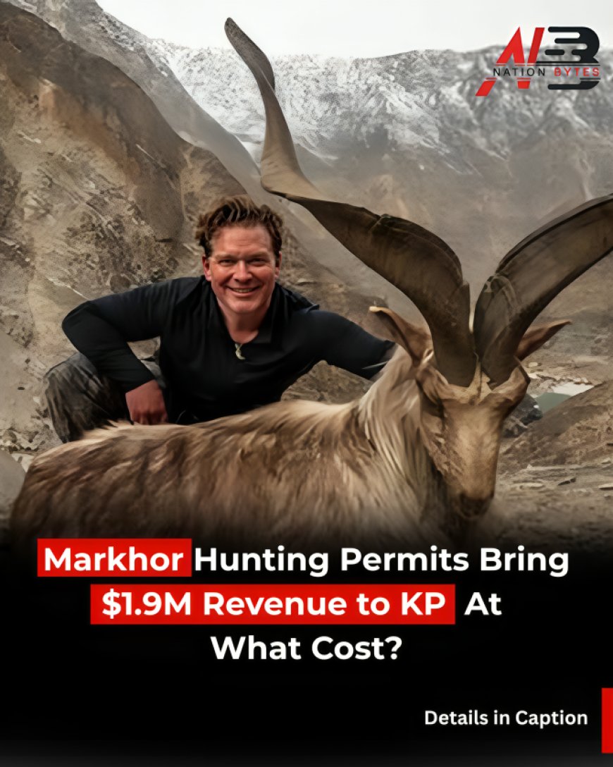 Markhor Hunting Permits Bring $1.9M Revenue to KP  At What Cost?