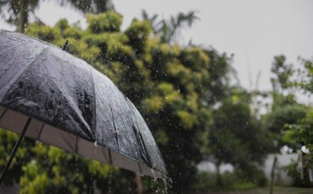 PDMA Issues Heavy Rain & Flood Warning for Punjab