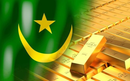 Another Day, Another Record! Gold Prices Skyrocket  Across PAK
