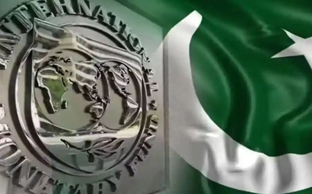 IMF and Pakistan Consider Lower GDP Growth Target After Flood Devastation