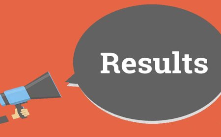 Punjab 11th Class Results 2025 Announced by All BISE Boards
