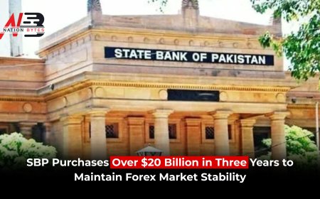 SBP Purchases Over $20B in Three Years to Maintain Forex Market Stability