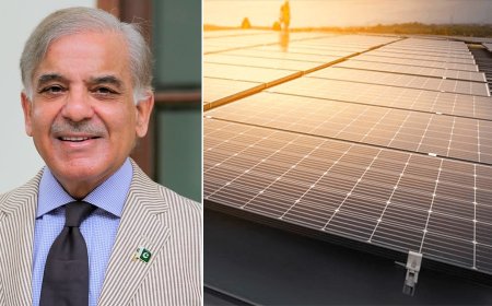 PM Shehbaz Orders Review of Solar Net Metering Rate Cut