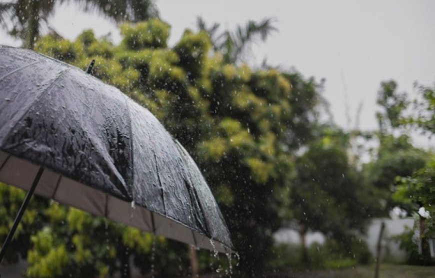 PDMA Issues Heavy Rain & Flood Warning for Punjab