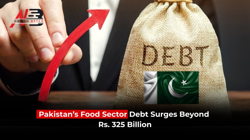 Pakistan’s Food Sector Debt Surges Beyond Rs. 325 Billion
