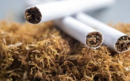 Tobacco Activism Must Be a Cause, Not a Seasonal Campaign