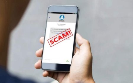 Senators Lose Over Rs 1.3 Million in Major Online Scam