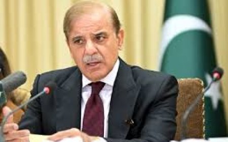 PM Shehbaz Urges Afghanistan to Take Firm Action Against TTP for Regional Stability