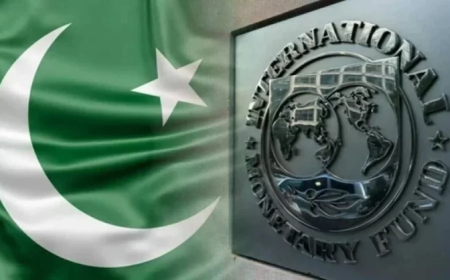 Pakistan Has Paid $2.69 Billion in Interest on IMF Loans Since 2008