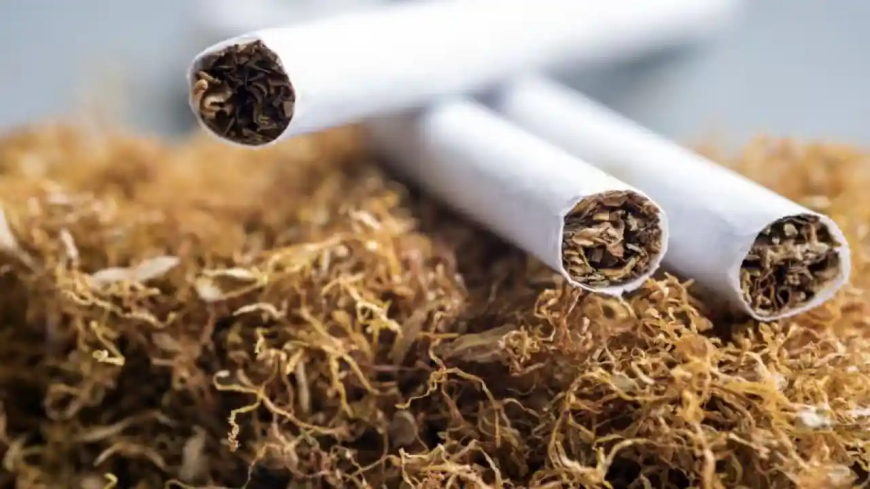 Tobacco Activism Must Be a Cause, Not a Seasonal Campaign