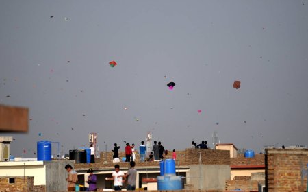 Punjab Government Lifts Ban on Basant After 18 years