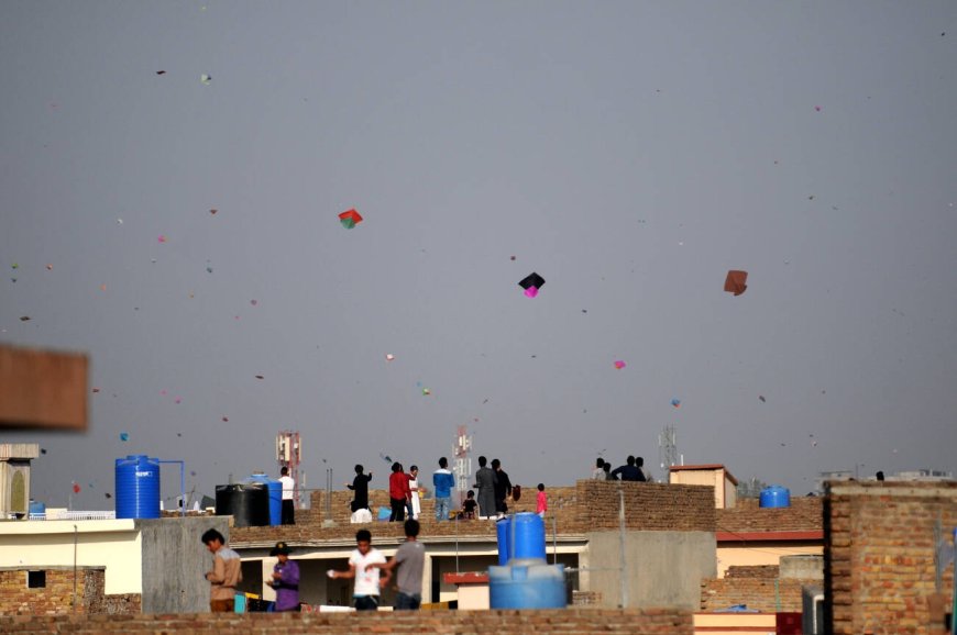 Punjab Government Lifts Ban on Basant After 18 years