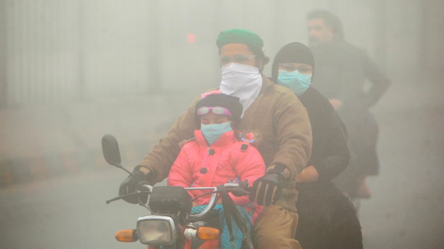 Punjab’s Toxic Smog Crisis: Millions Sick, Fatal Crashes Spike