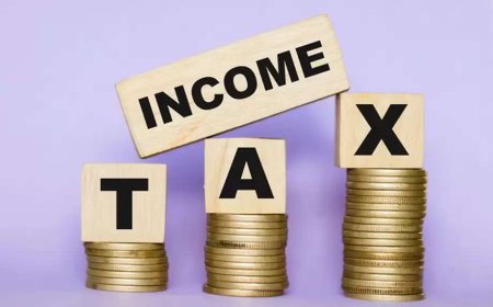 Salaried Class Pays Over Rs266 billion in Income Taxes