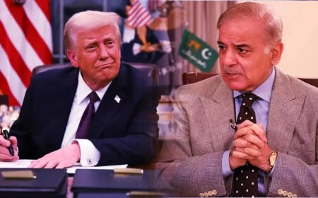 US immigrant visa pause: Pakistanis can still apply and attend scheduled interviews