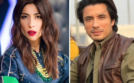 LHC Orders Trial Court to Conclude Ali Zafar–Meesha Shafi Defamation Case Within 30 Days