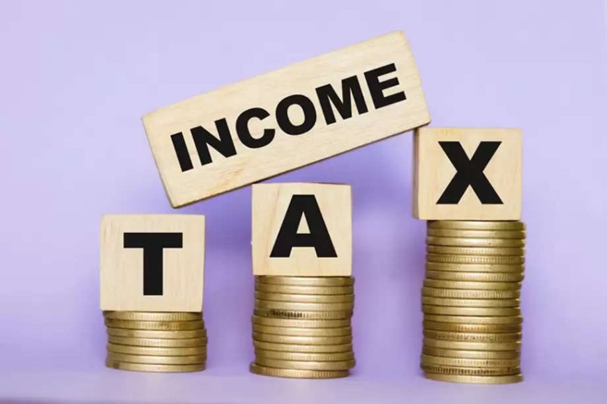 Salaried Class Pays Over Rs266 billion in Income Taxes