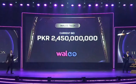 PSL’s Multan Sultans Sold for Record Price Rs2.45bn; Reborn as Rawalpindi Franchise