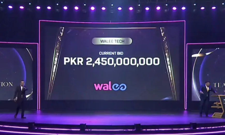 PSL’s Multan Sultans Sold for Record Price Rs2.45bn; Reborn as Rawalpindi Franchise