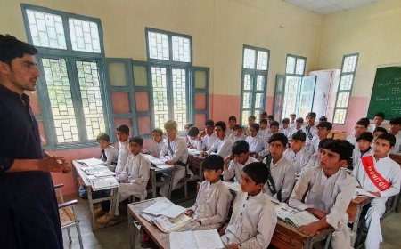 Punjab Outsourcing 4,500 More Schools to Private Sector