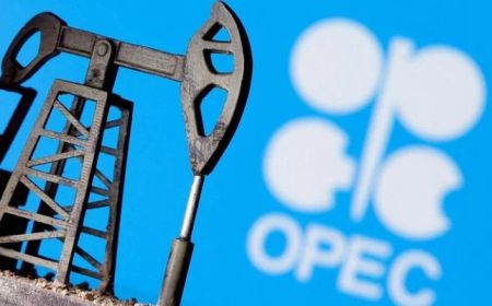 UAE Formally Exits OPEC Alliance