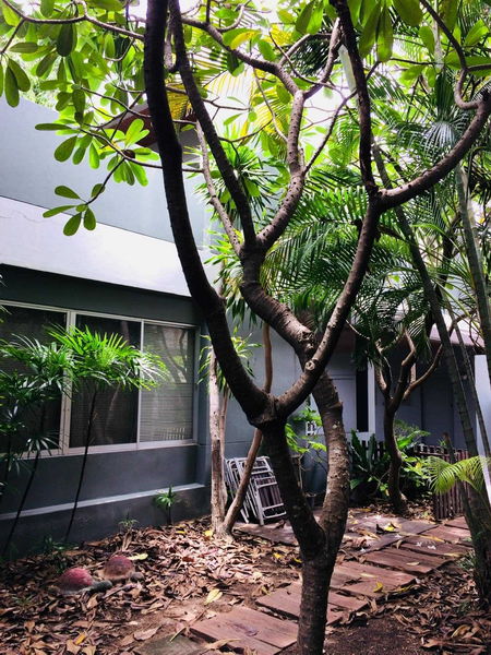 For Sale Bangkok Single House Sukhumvit BTS Bang Chak Phra Khanong BRE19283